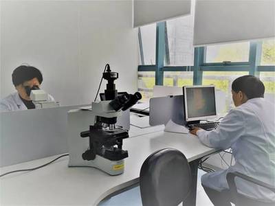 上海公司專業健康體檢與檢驗科服務，守護您的健康生活