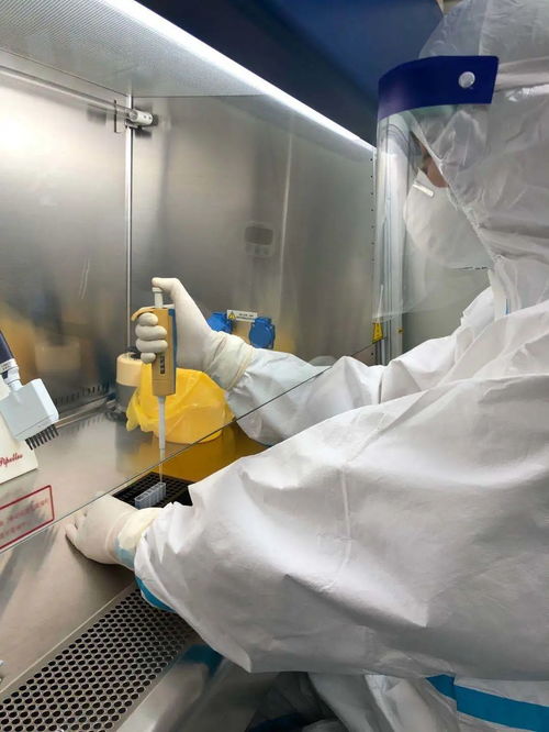 瀘西縣醫(yī)院24小時(shí)新冠病毒核酸檢測(cè)服務(wù)全流程指南