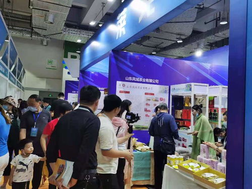 2021濟(jì)南地產(chǎn)品展示交易會(huì) 市場拓展與咨詢策劃服務(wù)的創(chuàng)新融合